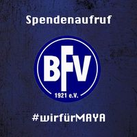 Spendenaufruf_Maya_Slide1